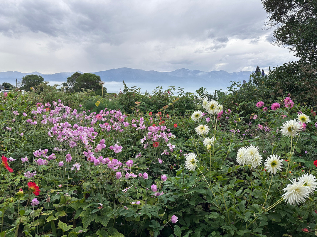 Fyffe House-Kaikoura必去景点