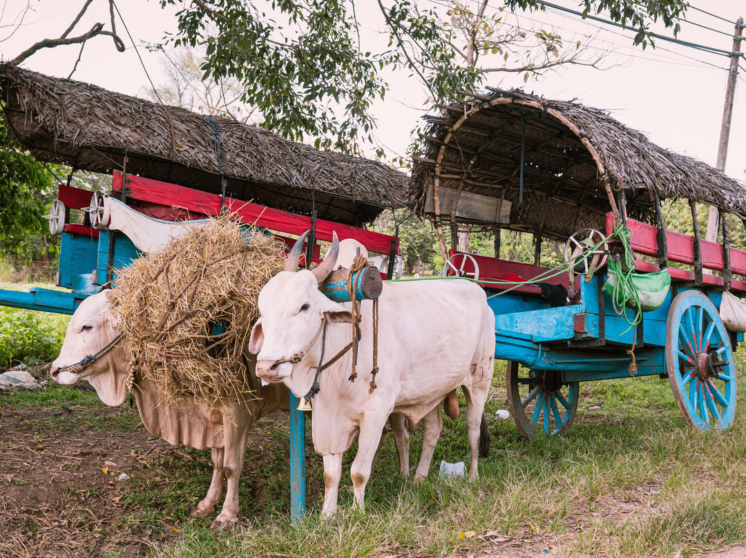 H.O.T Tourism-科伦坡必去景点