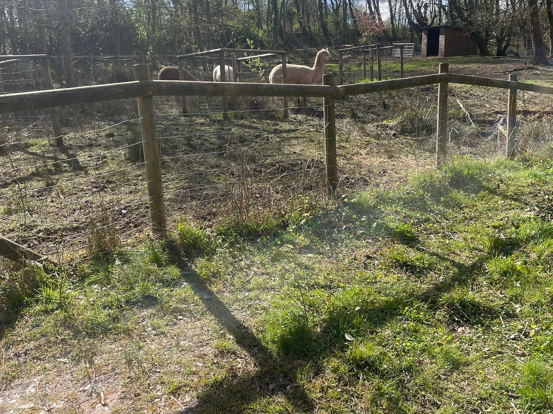 Greenmeadow Community Farm-Cwmbran必去景点