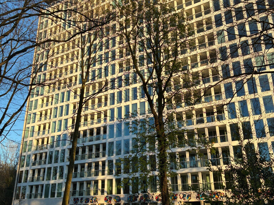 Landgoed Oostduin-海牙必去景点