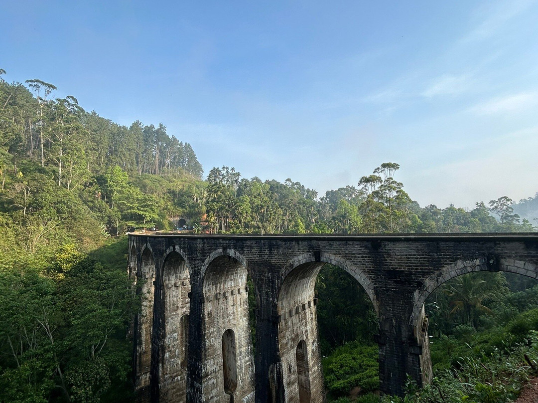 Risi Travels-加勒必去景点