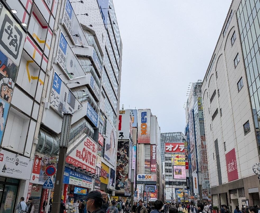 秋叶原-千代田区必去景点