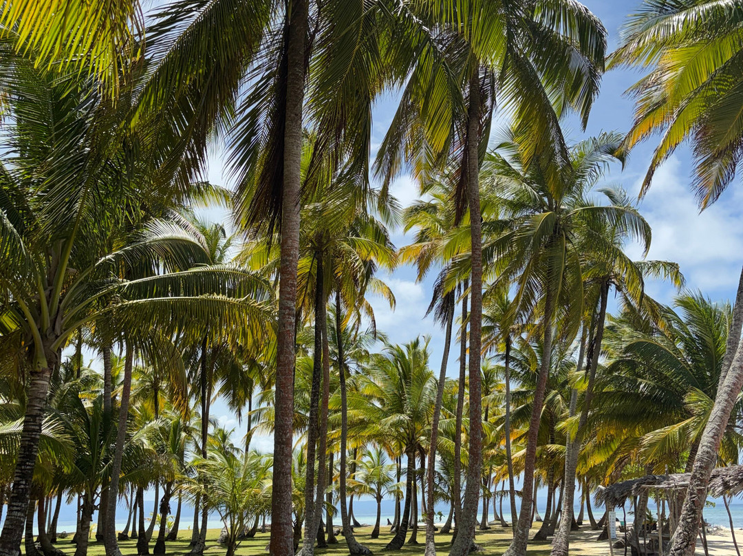 La Gitanita Sailing-Carti Tupile必去景点