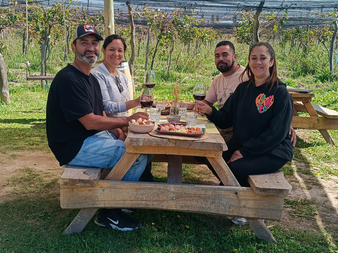 Bodega Terra Lombarda-圣拉斐尔必去景点