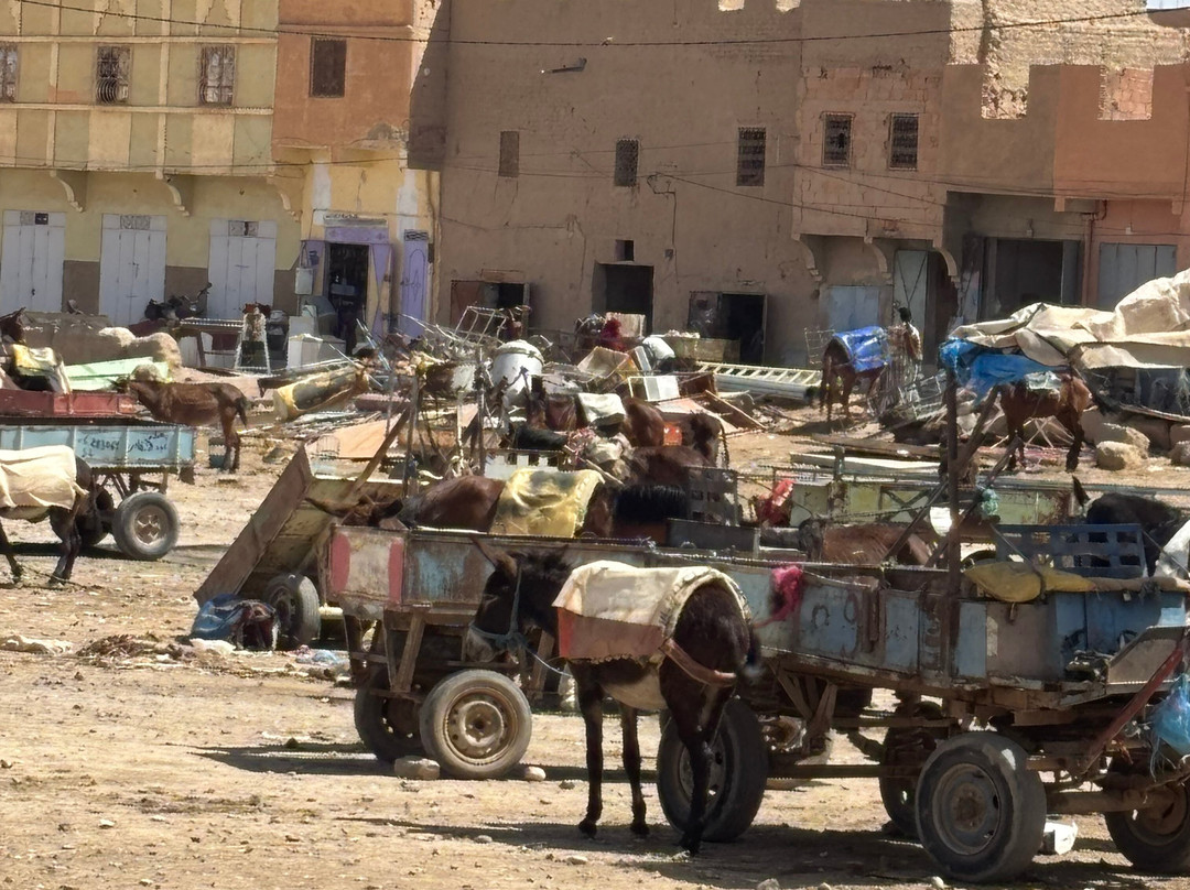 Magic Sahara Tours-卡萨布兰卡必去景点