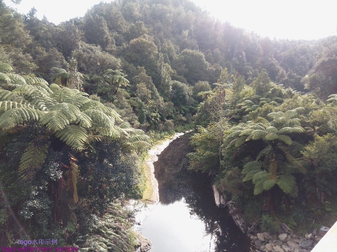 Whangamomona Hotel主图