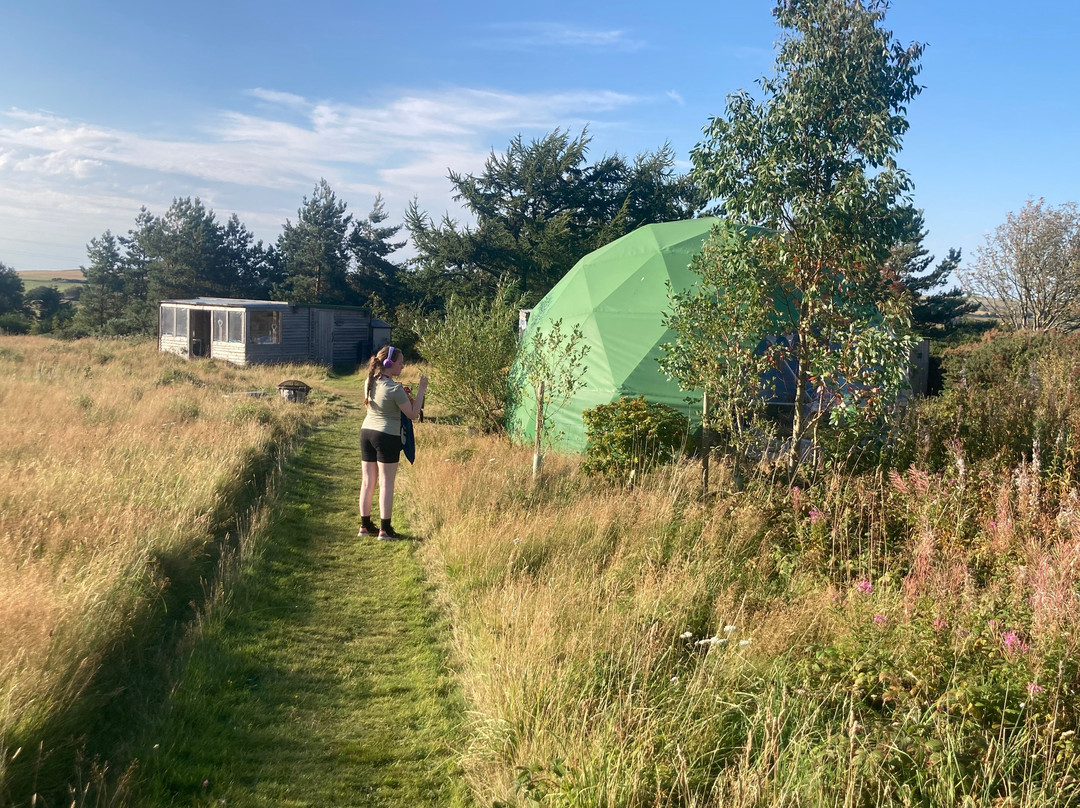 Pant y Rhedyn Glamping and Camping Site