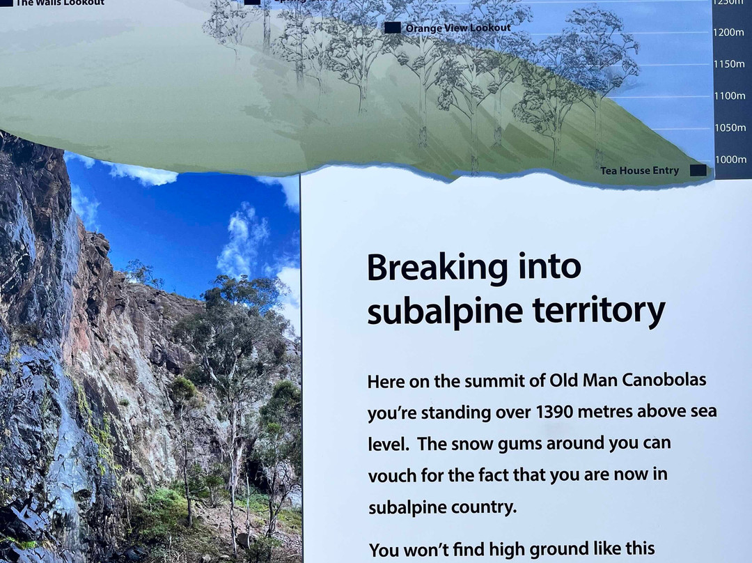 Mount Canobolas State Conservation Area-奥兰治必去景点