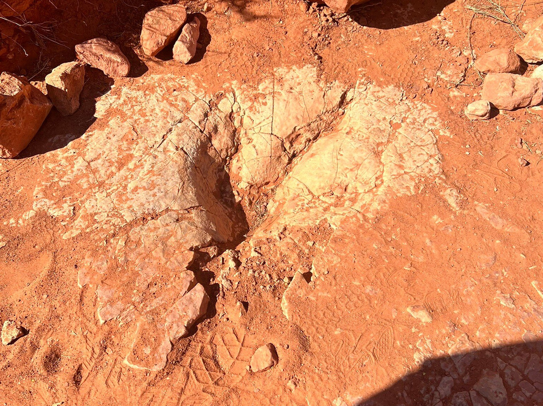 Red Cliffs National Conservation Area-圣乔治必去景点