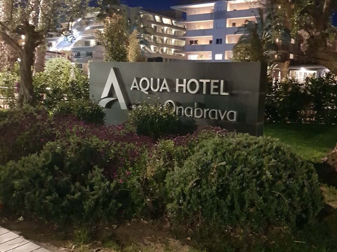 奥纳布拉瓦水疗酒店主图