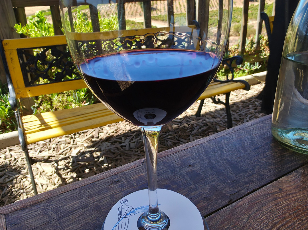 Villard Fine Wines-卡萨布兰卡必去景点
