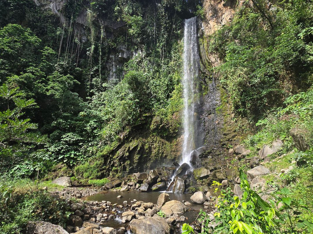 Tours with Frank the Tank Costa Rica-利比里亚必去景点