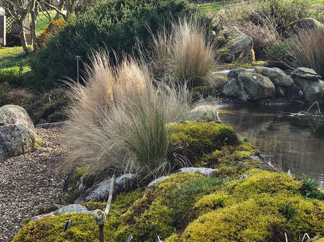 Jardin Botanique Jean-Marie Pelt-Villers-les-Nancy必去景点