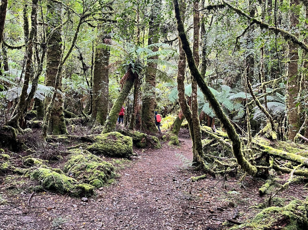 Park Trek Walking Holidays-墨尔本必去景点