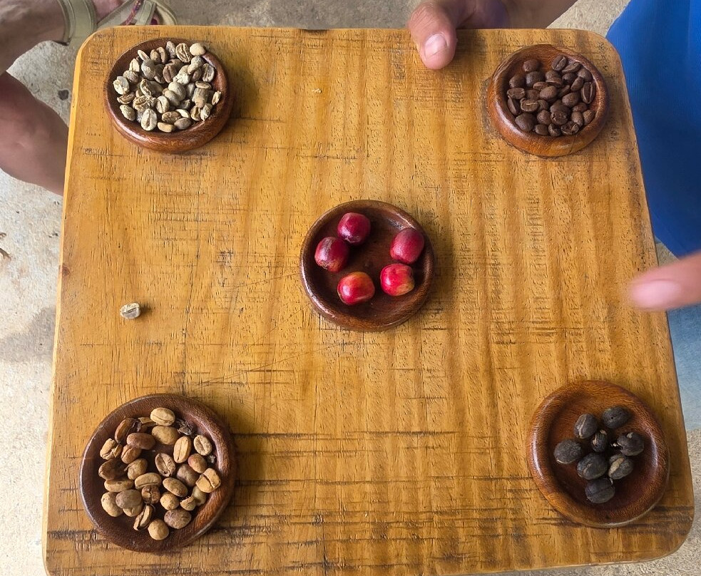 Cafe & Cacao Tour Bijagua-Bijagua de Upala必去景点