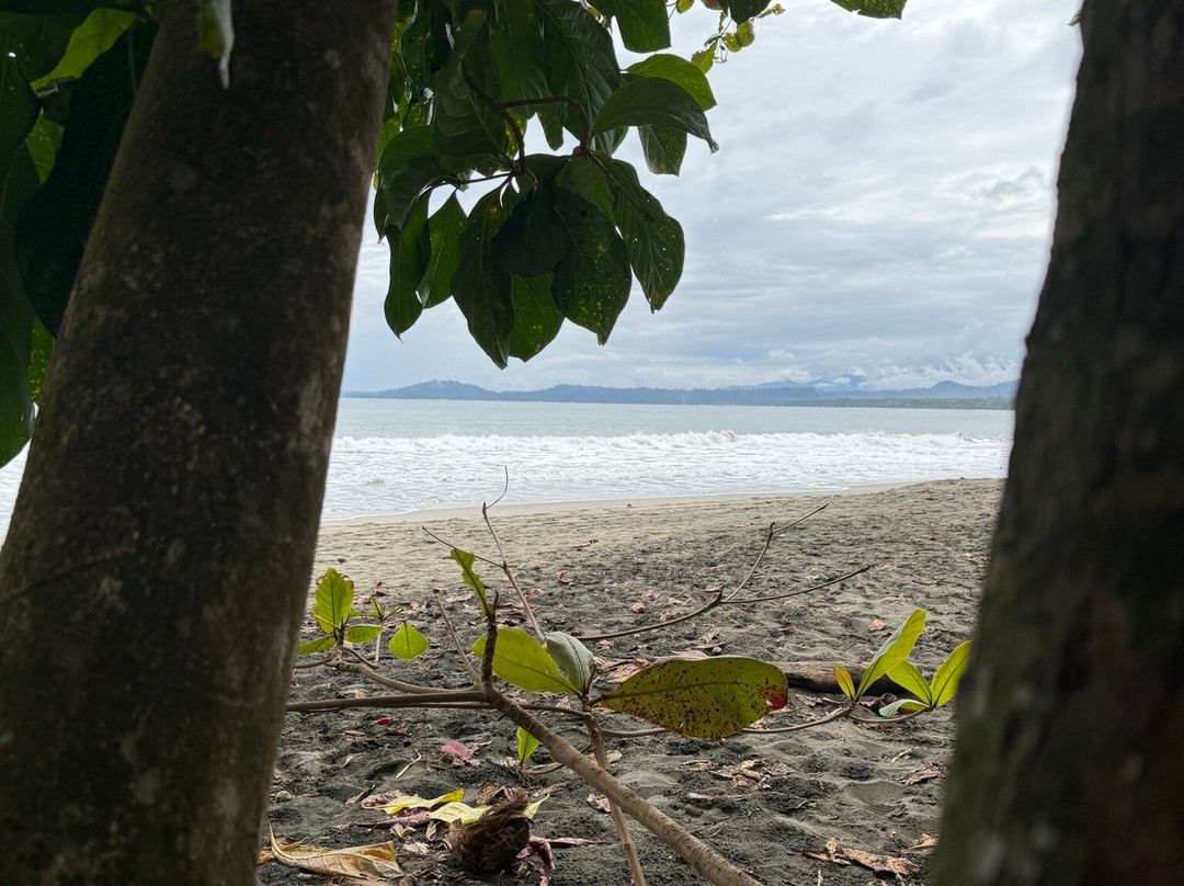 Caribbean Guide Puerto Viejo-旧港必去景点