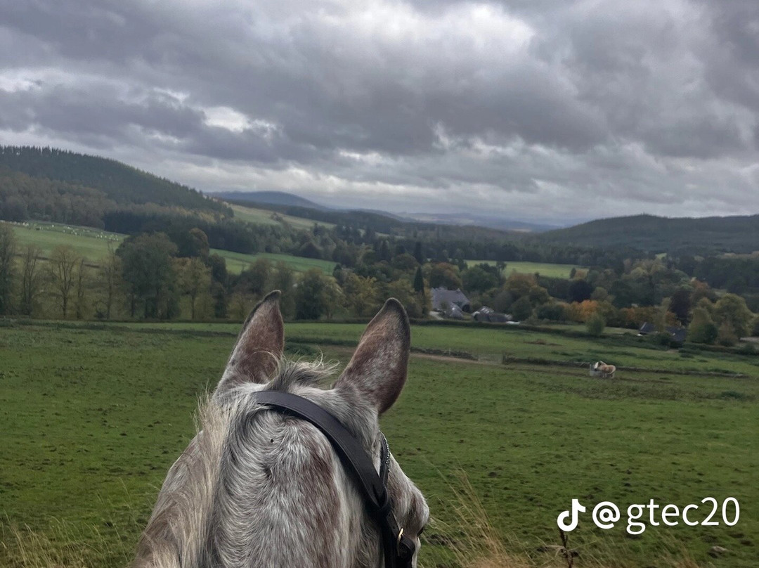 Derbyshire Pony Trekking-Mansfield必去景点