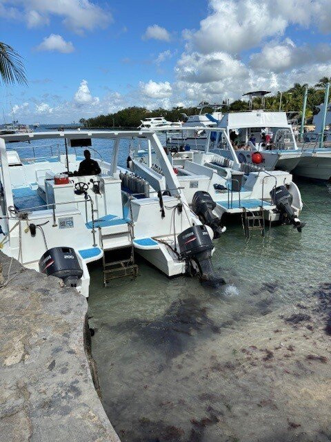 Scubafun-Bayahibe必去景点