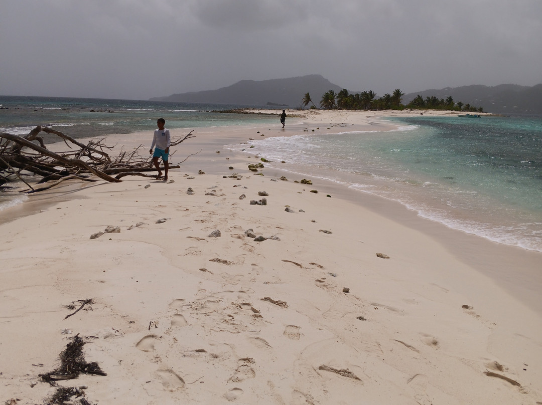 Sandy Island-Carriacou Island必去景点