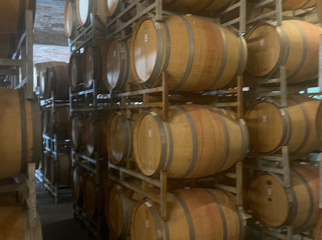 Franschhoek Wine Tram-法兰舒克必去景点
