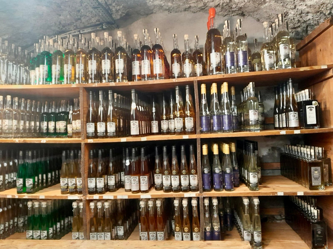 Distillerie La Salettina