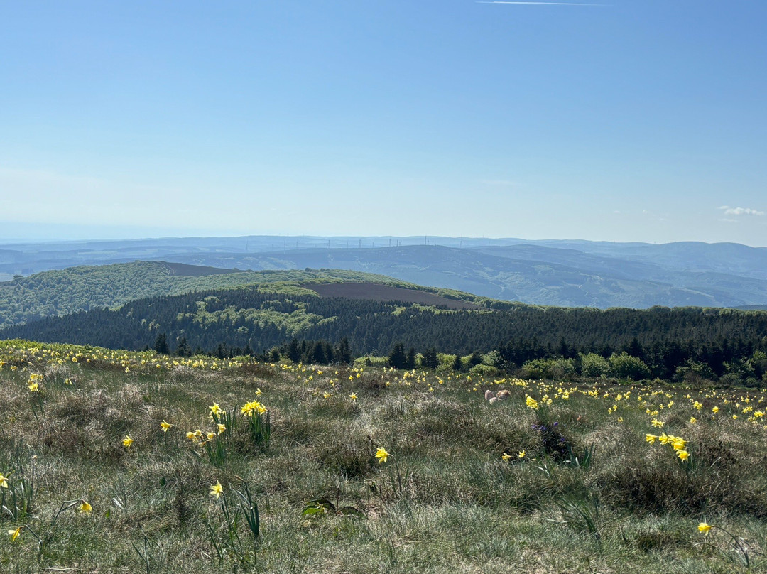 Pic de Nore-Pradelles-Cabardes必去景点