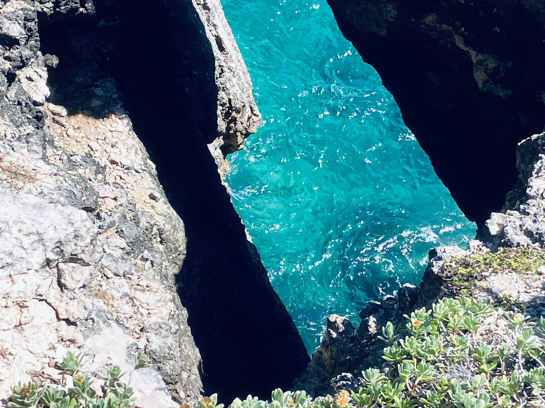 Great Bird Island-圣 约翰必去景点