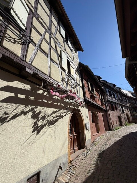 village d'Eguisheim-艾古斯汉必去景点