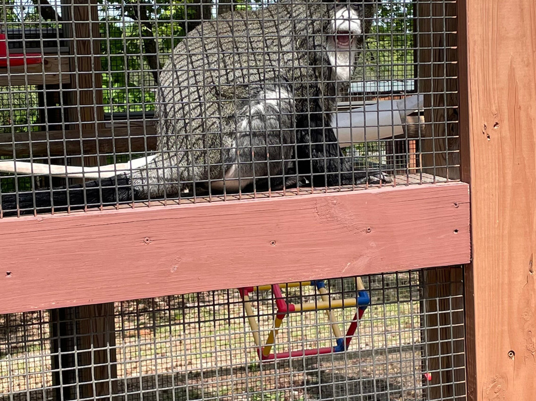 Broadway Zoological Park-Broadway必去景点