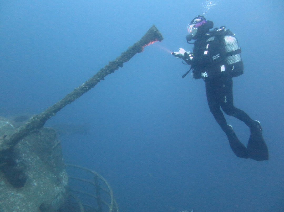 Manta Diving Madeira-Canico必去景点