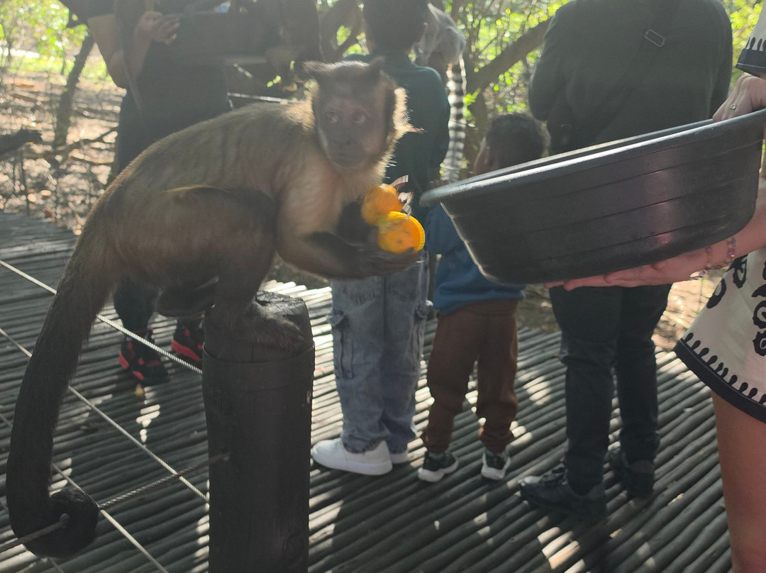 Bush Babies Monkey Sanctuary-哈特比斯普特必去景点