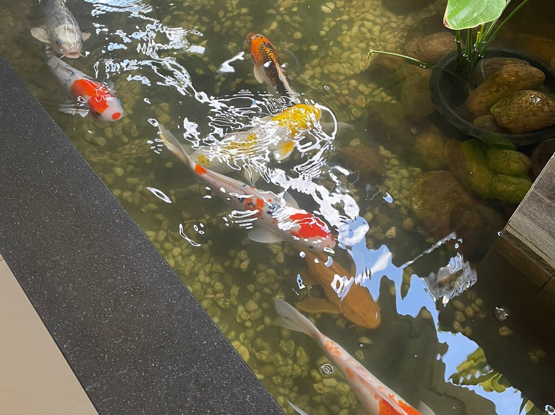 哢嚓象温泉度假村主图