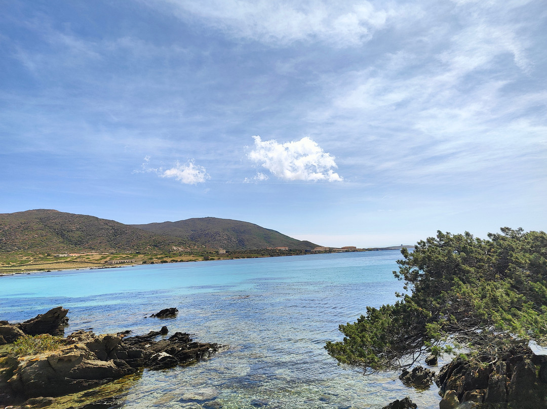 Asinara Charter Service-斯廷蒂诺必去景点