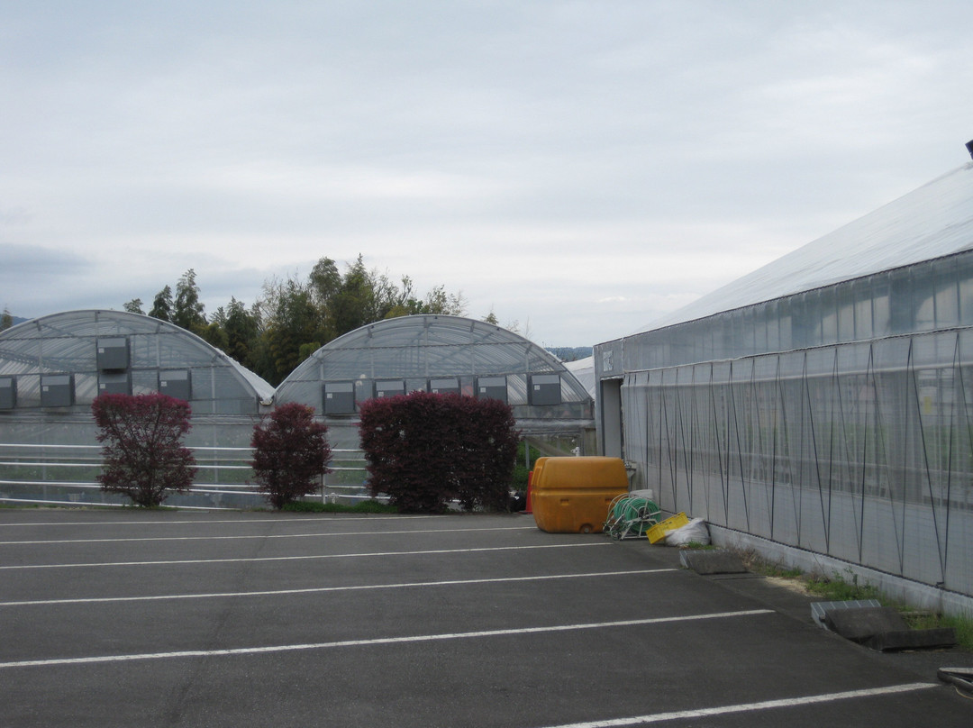 Izu Fruit Park-三岛市必去景点