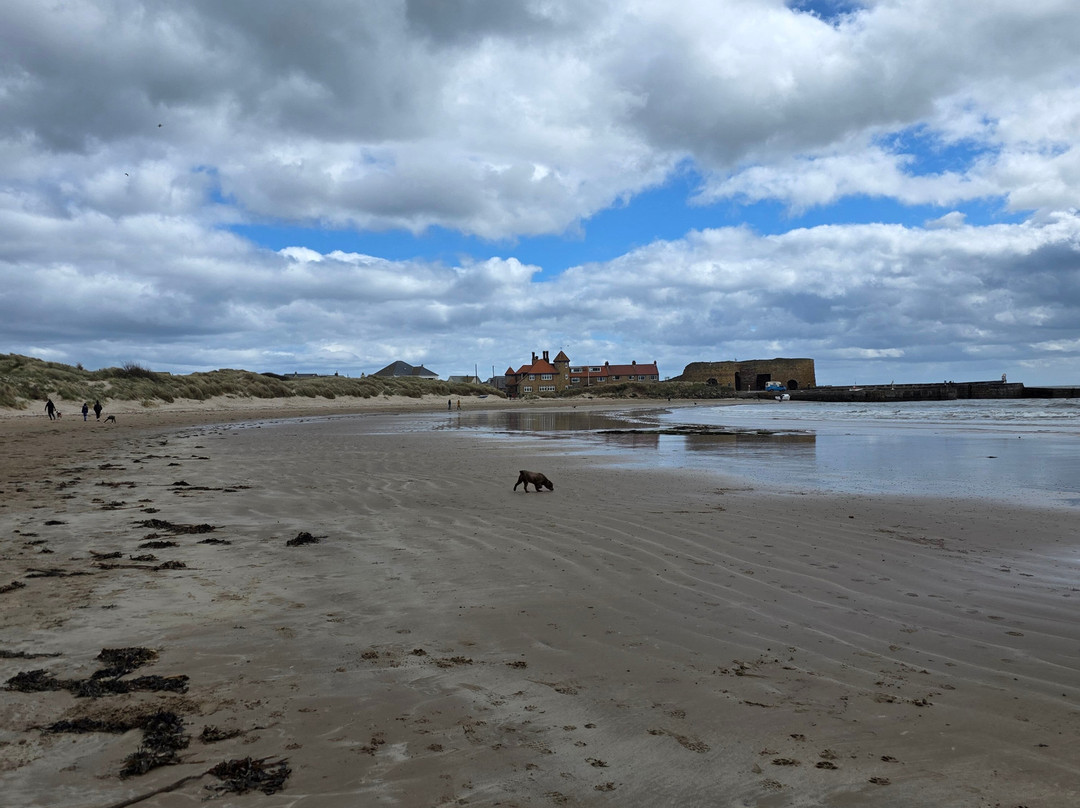 Beadnell Bay Beach-Beadnell必去景点