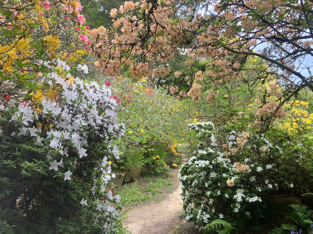Scotney Castle Garden-Lamberhurst必去景点