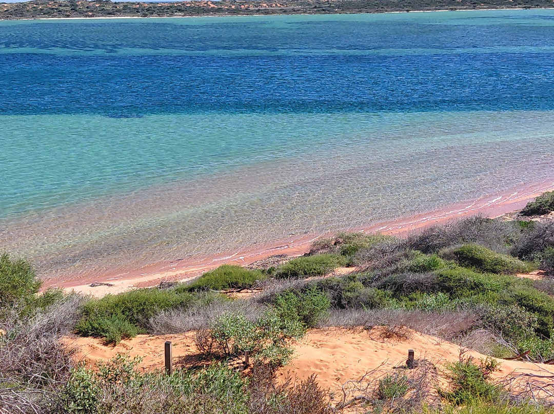 Shark Bay Coastal Tours-德纳姆必去景点