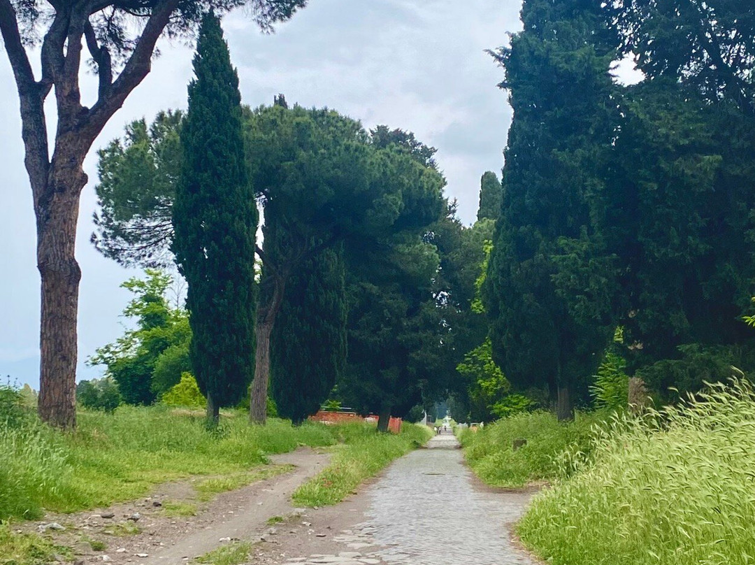 Appian Way (Via Appia Antica)-罗马必去景点