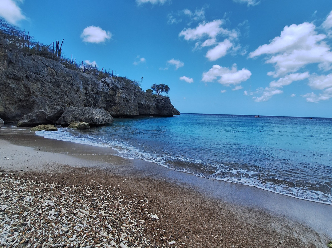 Playa Jeremi-Sabana Westpunt必去景点