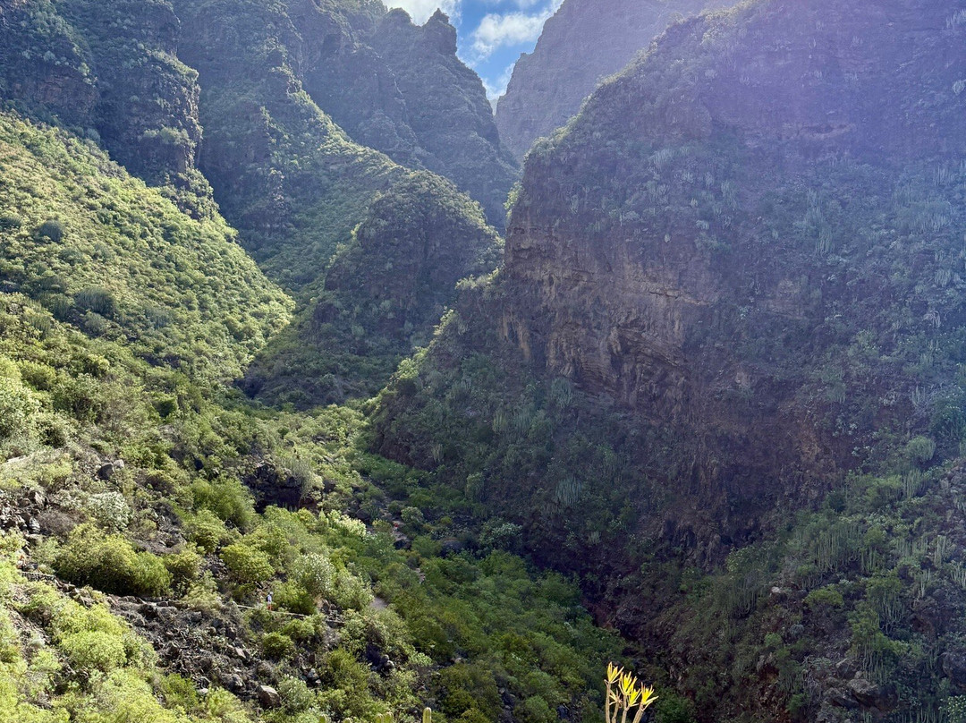Barranco Del Infierno-奥德杰海岸必去景点