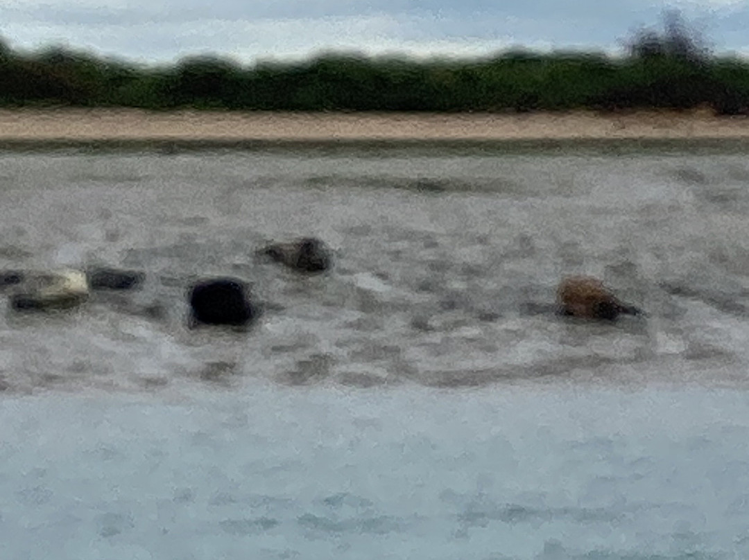 Chichester Harbour Water Tours-West Itchenor必去景点
