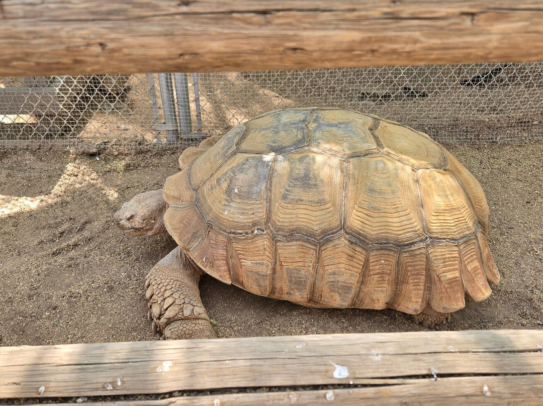 Southwest Wildlife Conservation Center-斯科茨代尔必去景点