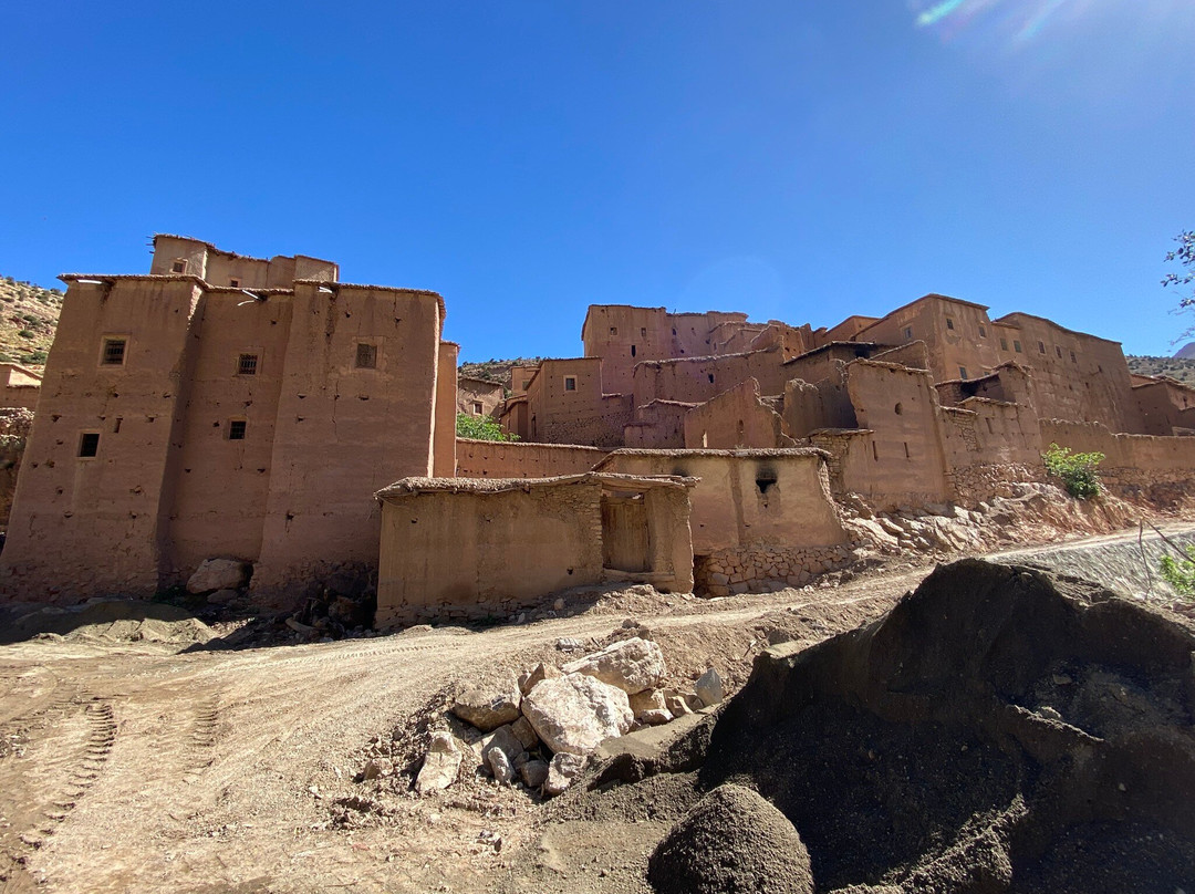 Caravane Renard du Desert-迈哈米德必去景点