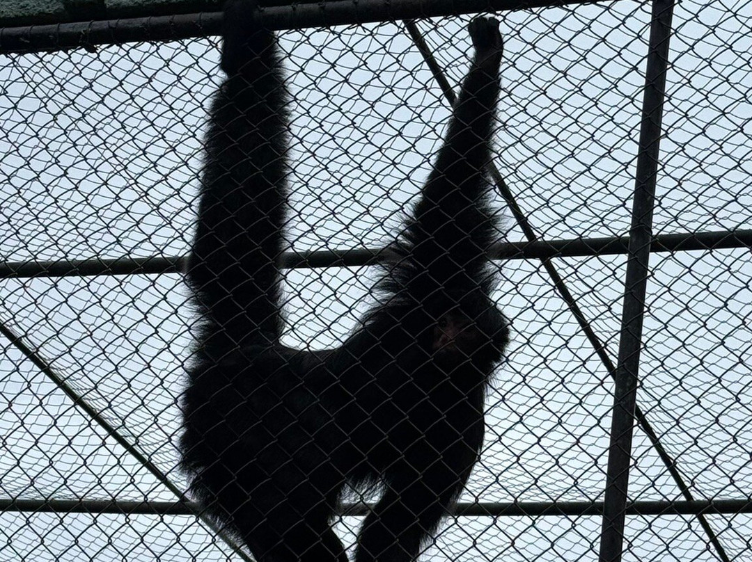Zoo Pomerode-Pomerode必去景点