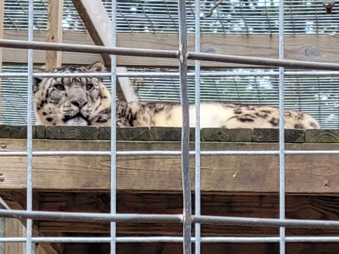 GarLyn Zoo Wildlife Park-Naubinway必去景点