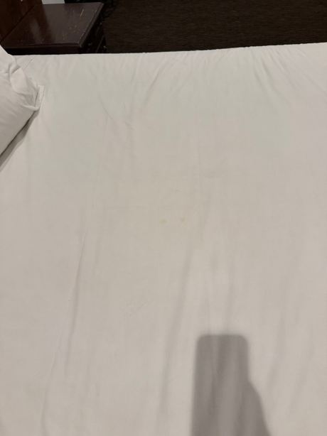 塔帕提欧瓜达拉哈拉丽笙酒店-旅行者