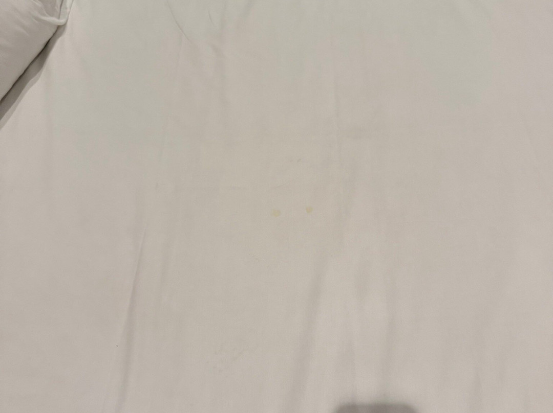 塔帕提欧瓜达拉哈拉丽笙酒店主图
