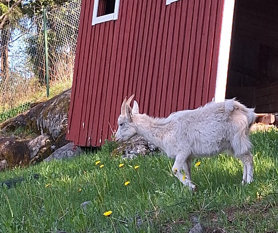 Orimattilan Kotielainpuisto
