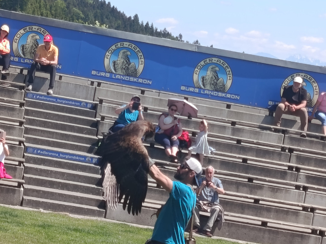 Adler Arena Burg Landskron-Landskron必去景点
