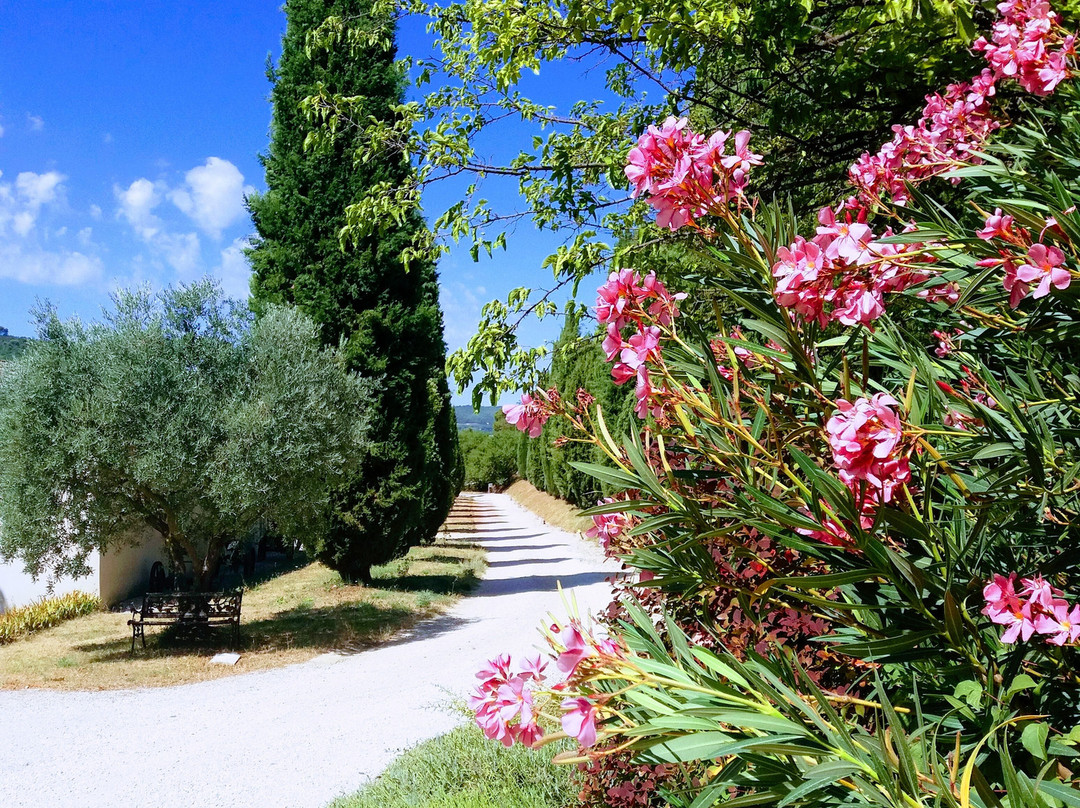 Musee des Arts et des Metiers du vin (Chateau Turcan)-Ansouis必去景点